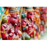 Rasch Textil Rasch Fototapete 363487 - Vliestapete mit indischem Elefanten in Pink Grün aus der Kollektion Indian Style -4,24m x 3,00m (BxL)