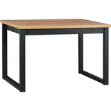 Esstisch Ikon 3, 120x80 cm, 79 cm hoch, schwarz/Wotan, Tischplatte mit ABS-Kante - Braun
