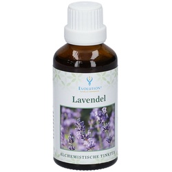 Evolution® Lavendel