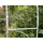 DanDiBo Ambiente Rosenbogen 120 x 0 x 0 cm Grau/Silber