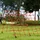 aiyaplay Ninja Line Kinder 10m Slackline Set mit Slackline, Turnringe, Schaukel,