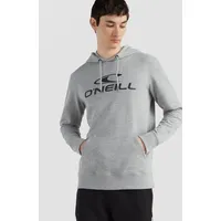 O'Neill LOGO HOODIE«, mit Kängurutasche, silberfarben