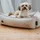 Hunter Hundesofa Belluno S 60 x 40 cm mint