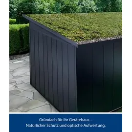 hörmann stauraumsysteme Hörmann Karton Gründach für Gerätehaus Berry mit Pultdach Berry Typ 2, Graualuminium