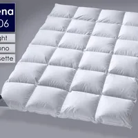 Billerbeck »306 Nena« Daunendecken Mono 135x200 cm 530g