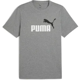 Puma ESS 2 Color No. 1 Logo Tee grau XL