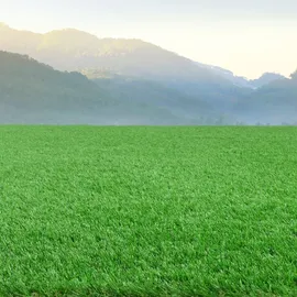 Steffensmeier Kunstrasen Michigan | Balkonböden, Rasenteppiche