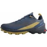Salomon Cross Over 2 GTX Herren Multifunktionsschuhe, grau, Größe 46 -