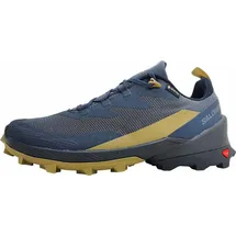 Salomon Cross Over 2 GTX Herren Multifunktionsschuhe, grau, Größe 46 -