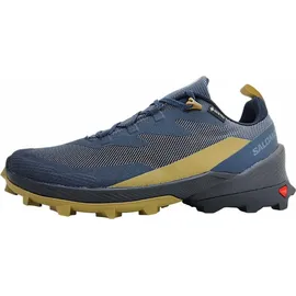 Salomon Cross Over 2 GTX Herren Multifunktionsschuhe, grau, Größe 46 -