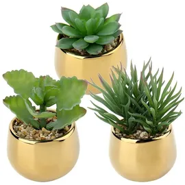 luxuskollektion Kunstpflanze Sukkulenten 3 PCS Keramiktopf Deko Balkon Gold Type-2