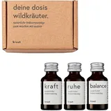 Kruut Kräuterauszug Set 3 x 15 ml