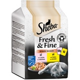 Sheba Fresh & Fine Lachs und Huhn in Sauce