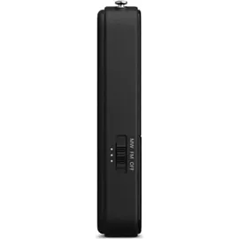 Philips TAR1509 schwarz