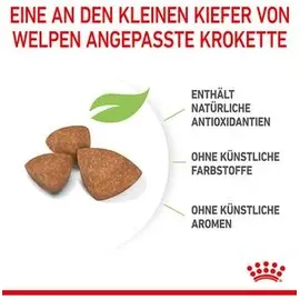 Royal Canin X-Small Puppy 1,5 kg