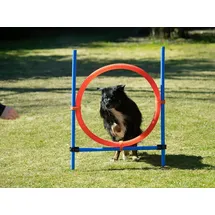 Procyon Sprungring für große Hunde, Agility-Set, Hundetraining