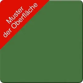 C+P CP Stahlschrank 2149-00 S10059 lichtgrau, rededagrün 8 Fachböden 160,0 x 40,0 x 195,0 cm, aufgebaut, 1 St.