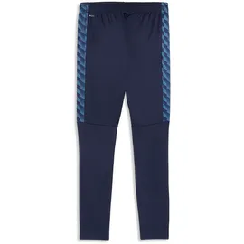 Puma teamLIGA26 Trainingshose Blau XL