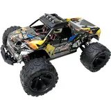 Drive & Fly Models RC-Auto Truck DF06 PRO CH RTR Bunt (3148)
