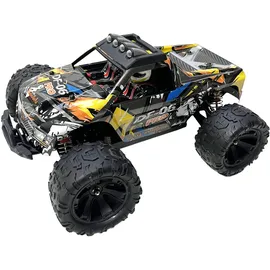 Drive & Fly Models RC-Auto Truck DF06 PRO CH RTR Bunt (3148)