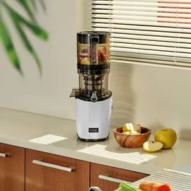 Kuvings AUTO10 Slow Juicer light silver