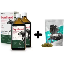 Lab-v Equihard – Komplexe Formel für gesunde Gelenke bei Pferden und Ponys 2x500 ml + GELOREN HA Gelenkunterstützungsgel für Pferde 450G