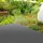 ECD Germany WPC Terrassenfliesen Anthrazit 60 x 30 cm 6 St.