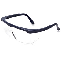 Feldtmann Schutzbrille Tector BASIC klar klassische Schutzbrille mit integriertem Seitenschutz