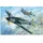 Hobby Boss Focke Wulf FW 190A-5 1:18