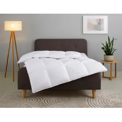 Daunenbettdecke HOME AFFAIRE "Litrone, Bettdecke 135x200 cm, 155x220 cm, 200x200 cm, 240x220 cm", weiß, B:135cm L:200cm, Bezug: 100% Baumwolle. Füllung: 100% Gänsedaunen, Bettdecken, Bettdecken, Sommer, Winter, Ganzjahresdecke, Decke, Made in Germany