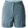 Dare 2b Melodic Iii Kurze Hose Grau 36