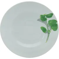 CreaTable 6er-Set CreaTable Pastateller Europa Kräuter Ø 27 cm Porzellan Grün