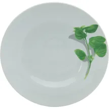 CreaTable 6er-Set CreaTable Pastateller Europa Kräuter Ø 27 cm Porzellan Grün