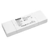 Radium LED-Treiber DRIVERFLAT60W24VIP20