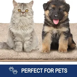 FCSDETAIL Schmutzfangmatte 86x150 cm rutschfest waschbar beige Eingang Haustür