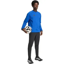 adidas Sweatshirt blau XS