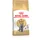 Royal Canin Adult British Shorthair 400 g