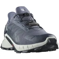 Salomon Supercross 4 Gore-Tex Herren grisaille/white/carbon 44
