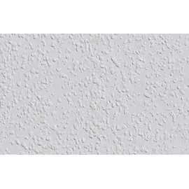 Erfurt Rauhfaser Avantgarde Weiß