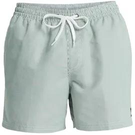 QUIKSILVER Everyday Deluxe Badeshorts Grün XXL