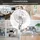 Syntrox Ventilator Sigi mit Luftbefeuchter inkl. Fernbedienung