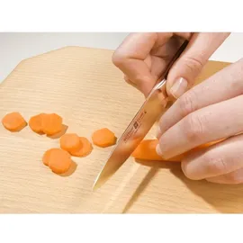 Wüsthof Classic Allzweckmesser 11.4 cm