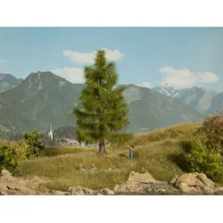 NOCH Fichte, Grün