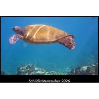 Vero Kalender Schildkrötenzauber 2026 Fotokalender DIN A3 von Tobias