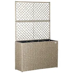 Blumenkasten Polyrattan mit Rankgitter 83x60x305cm creme