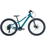 Scott Bikes Roxter 400 20 Zoll türkis/orange