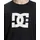 DC Shoes Langarmshirt »DC Star Hls« DC Shoes schwarz