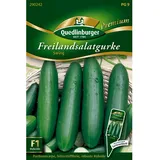 Quedlinburger Freiland Salatgurke ''Swing''
