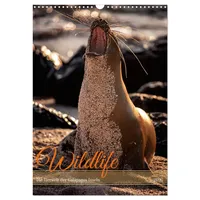 Calvendo Wildlife - Die Tierwelt der Galapagos Inseln (Wandkalender