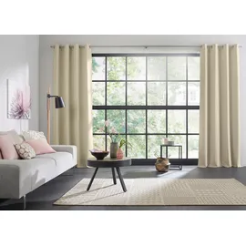 Wirth Dim out Vorhang Ösen 145 x 220 cm beige